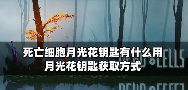 《以死亡细胞园丁的钥匙怎么拿》（在游戏中如何获取三把钥匙）